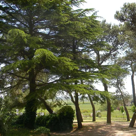 Dimora Del Falconiere Gioia Del Colle